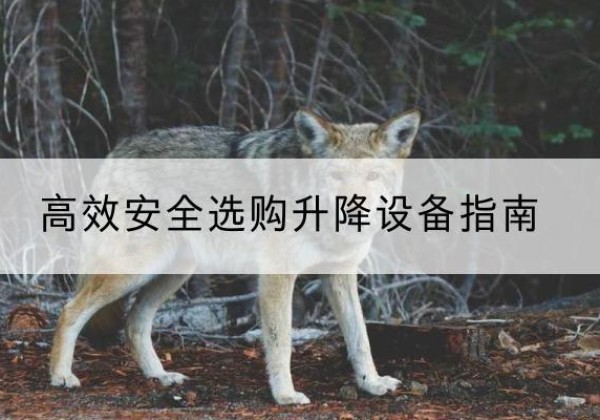 石泉升降货梯厂家推荐-*安全选购升降设备指南