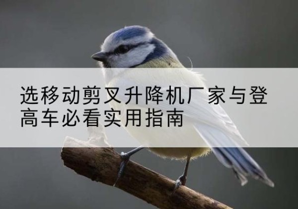石泉电动升降机厂家-选移动剪叉升降机厂家与登高车必看实用指南