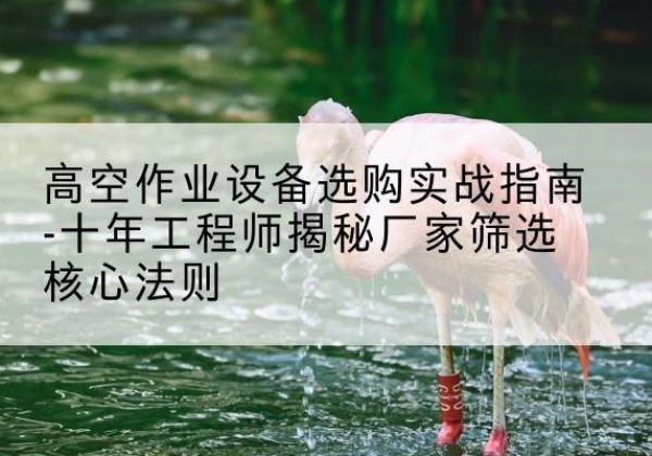 石泉剪叉式升降机厂家-高空作业设备选购实战指南-十年工程师揭秘厂家筛选核心法则